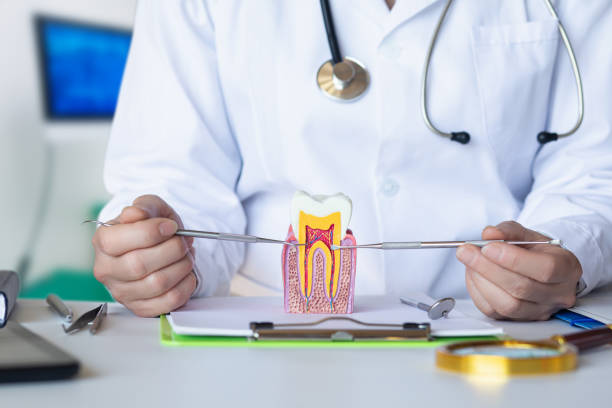 Best Root Canal Emergency Dentist  in Montpelier, OH